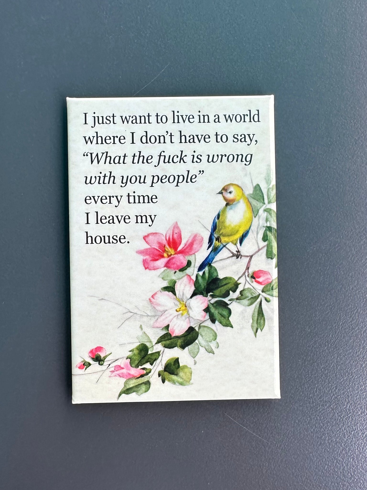 MAGNET "I just want to ... "