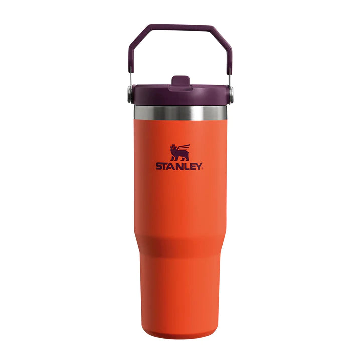 Stanley IceFlow Flip Straw Tumbler Flasche Trinkflasche